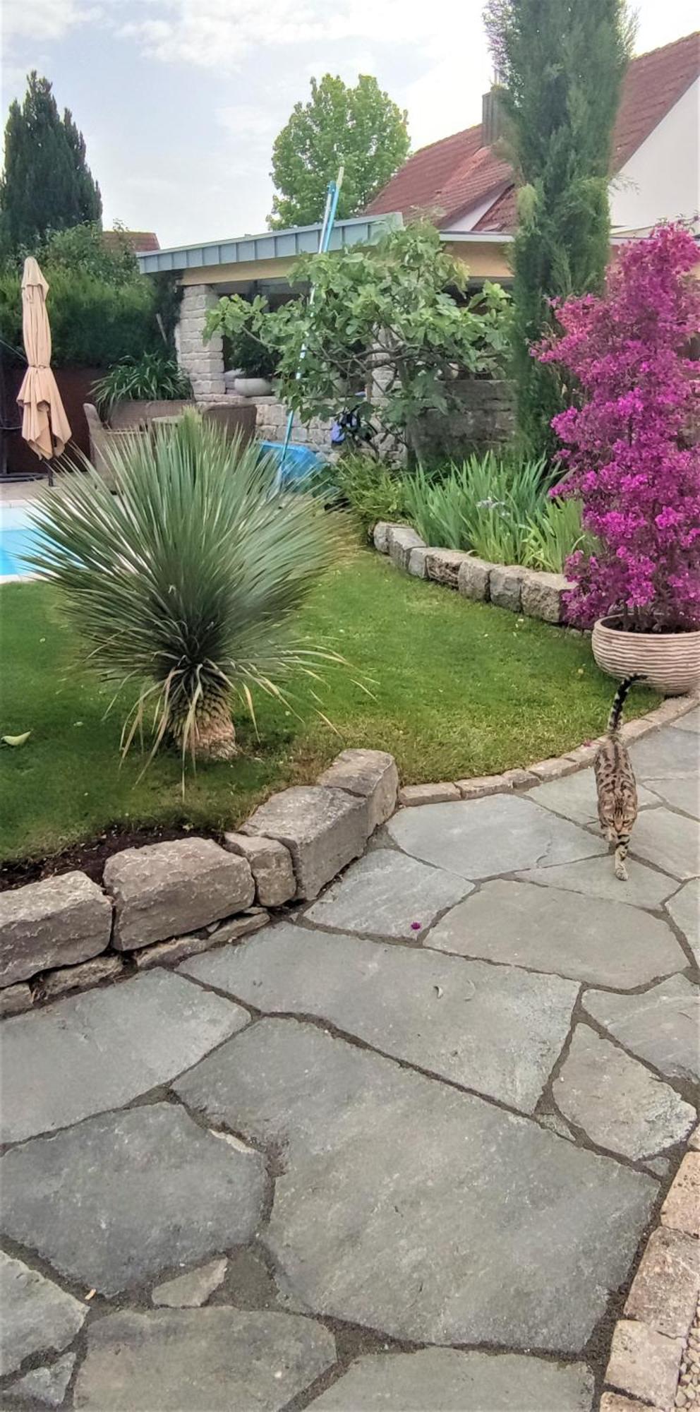 Apartament Bel Giardino FDH Zewnętrze zdjęcie
